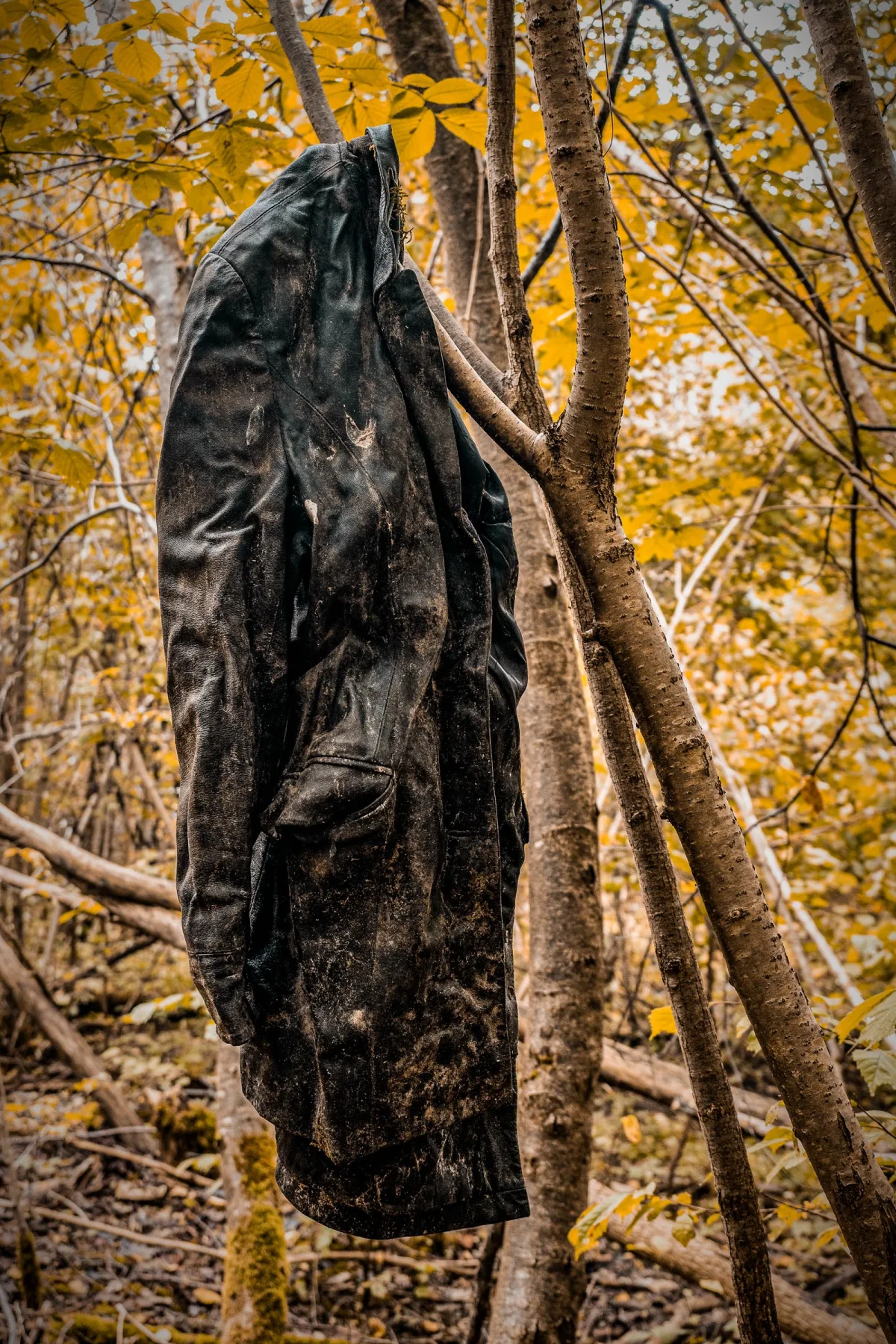The Language of Trees