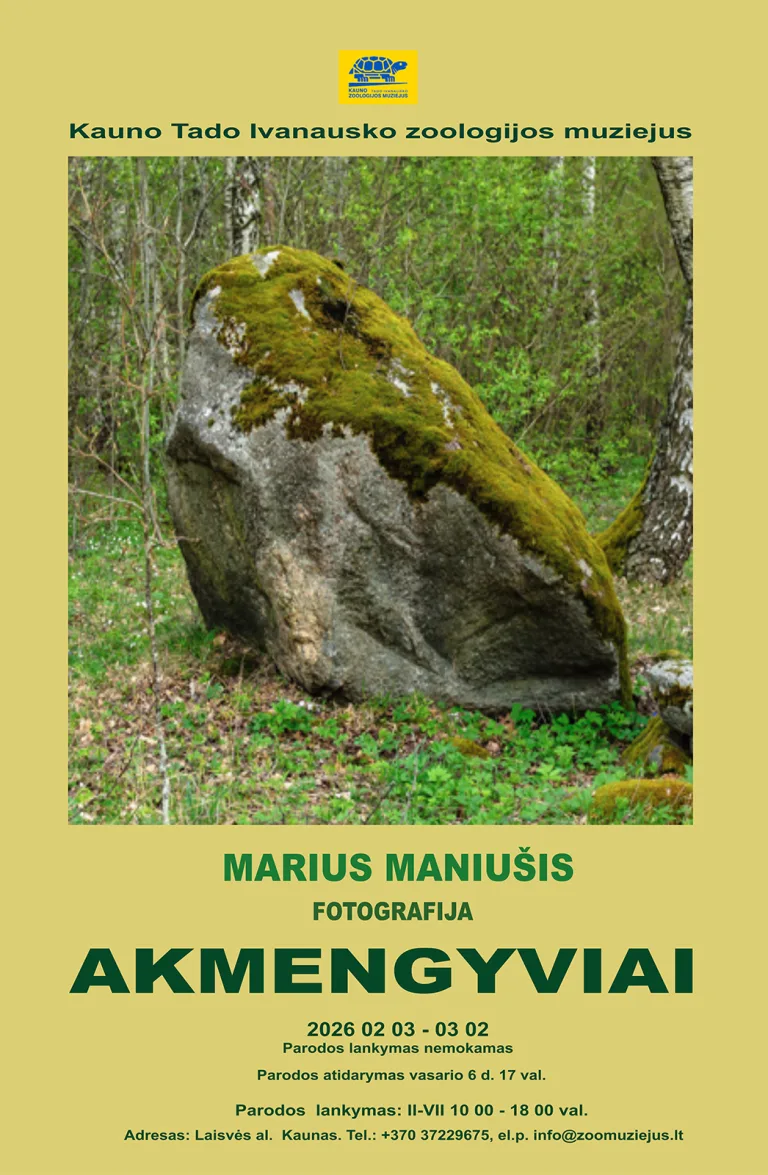 Akmengyviai
